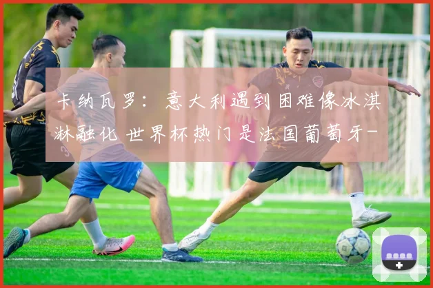 卡纳瓦罗:意大利遇到困难像冰淇淋融化 世界杯热门是法国葡萄牙