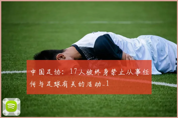 中国足协：17人被终身禁止从事任何与足球有关的活动_1