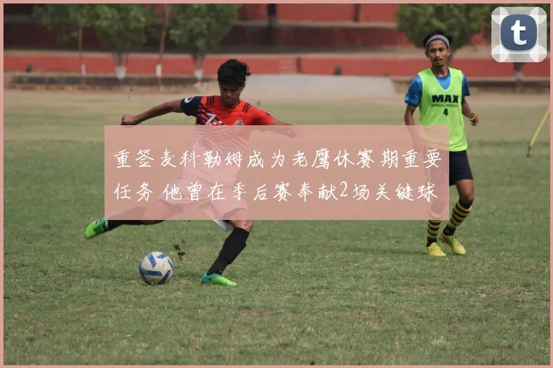 重签麦科勒姆成为老鹰休赛期重要任务 他曾在季后赛奉献2场关键球