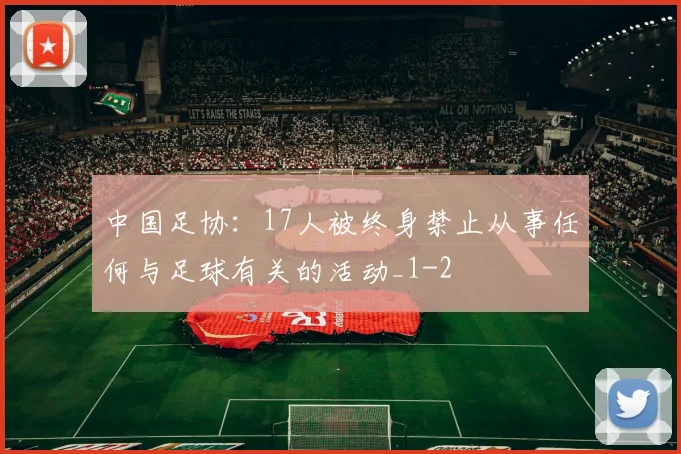 中国足协:17人被终身禁止从事任何与足球有关的活动_1